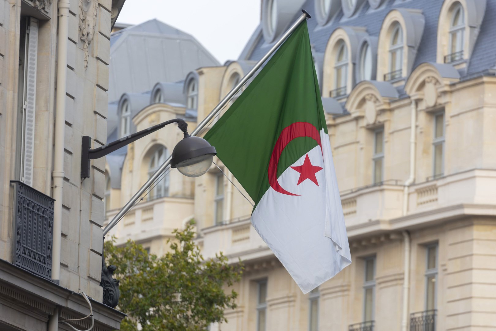 منحة البطالة للمتزوجات في الجزائر 2023م.. إليك رابط التسجيل وخطوات التقديم