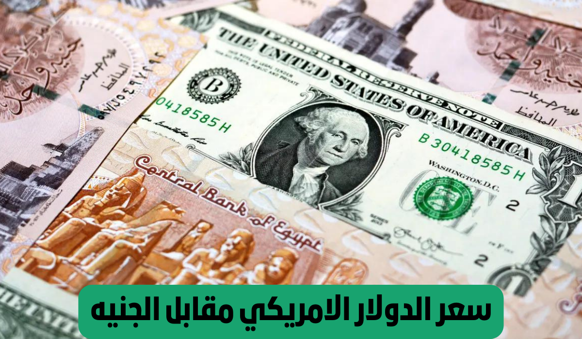 سعر الدولار مقابل الجنيه المصري اليوم في تعاملات جميع البنوك العاملة قبل إجازة 25 يناير 2024