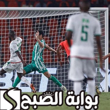 “بشكل رسمي”.. منتخب الجزائر يودع بطولة كأس أمم أفريقيا 2024