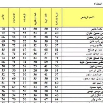 الان استعلام عن نتائج السادس الابتدائي التمهيدي 2024 بالعراق من موقع وزارة التربية والتعليم العراقية pdf
