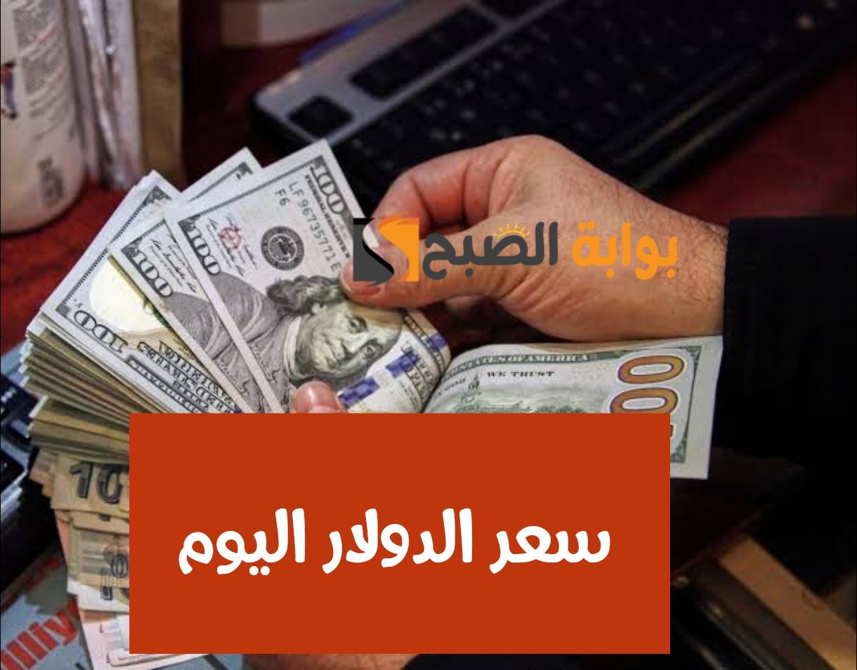 وصل كام النهاردة.. سعر الدولار مقابل الجنيه المصري اليوم الثلاثاء 6 فبراير 2024؟!!