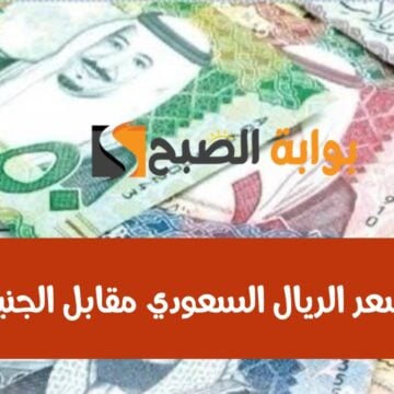 وصل كام النهاردة؟.. سعر الريال السعودي مقابل الجنيه اليوم الأربعاء 7 فبراير 2024