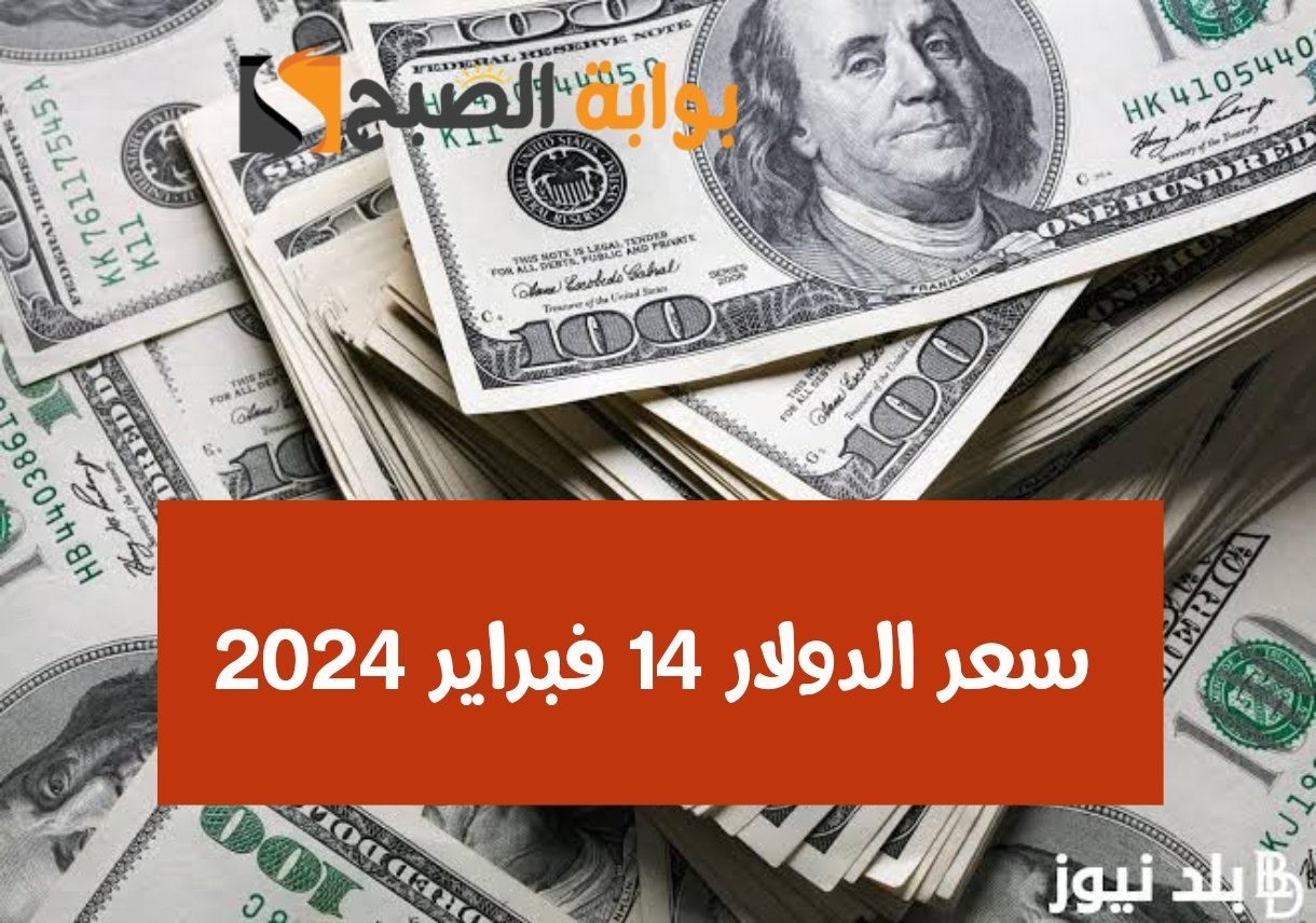 اعرف السعر أول بأول.. سعر الدولار مقابل الجنيه المصري اليوم الأربعاء 14 فبراير 2024 في البنوك