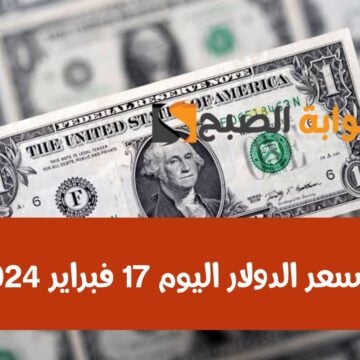 يا ترى وصل كام.. سعر الدولار اليوم السبت 17 فبراير 2024 مقابل الجنيه المصري