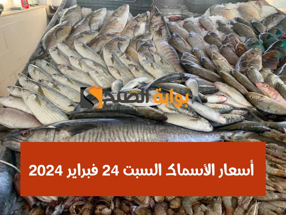 البوري بكام النهاردة.. أسعار الأسماك السبت 24 فبراير 2024 في الأسواق والمجمعات الاستهلاكية