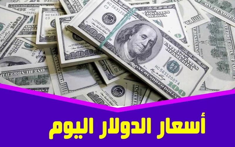 سعر الدولار الآن مقابل الجنيه المصري اليوم السبت 24-2-2024