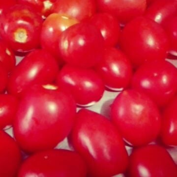 طريقة تخزين الطماطم لرمضان بأسهل طريقة وهتفضل معاكي طول الموسم