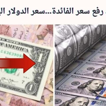 بعد رفع سعر الفائدة…سعر الدولار اليوم 2 فبراير 2024 مقابل الجنيه المصري