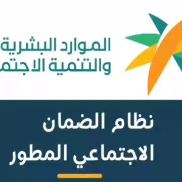 برقم الهوية الوطنية خطوات الاستعلام عن الضمان المطور إلكترونيا 2024 في السعودية