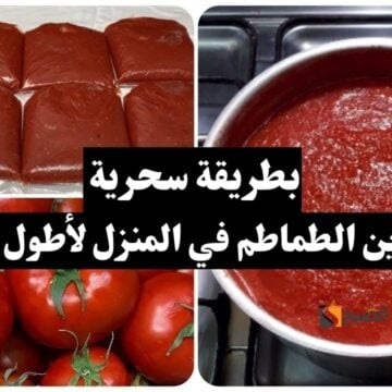 مش سحر.. طريقة تخزين الطماطم في المنزل لأطول مدة وبنفس قيمتها الغذائية