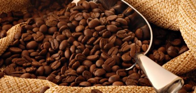 زراعة القهوة من البذور في المنزل بطريقة ناجحة لا تخطر على البال .. اعرفيها الوقتي