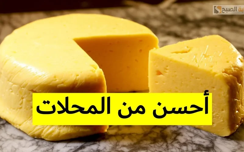 “ملكة السندوتشات” .. طريقة عمل الجبن الرومي في البيت.. وفري واحصلي على طعم لذيذ وحقيقي