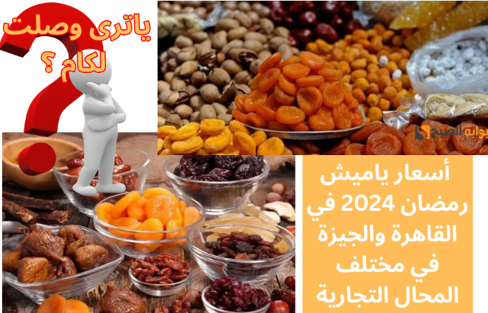 “ياترى وصلت لكام؟”.. أسعار ياميش رمضان 2024 في القاهرة والجيزة في مختلف المحال التجارية