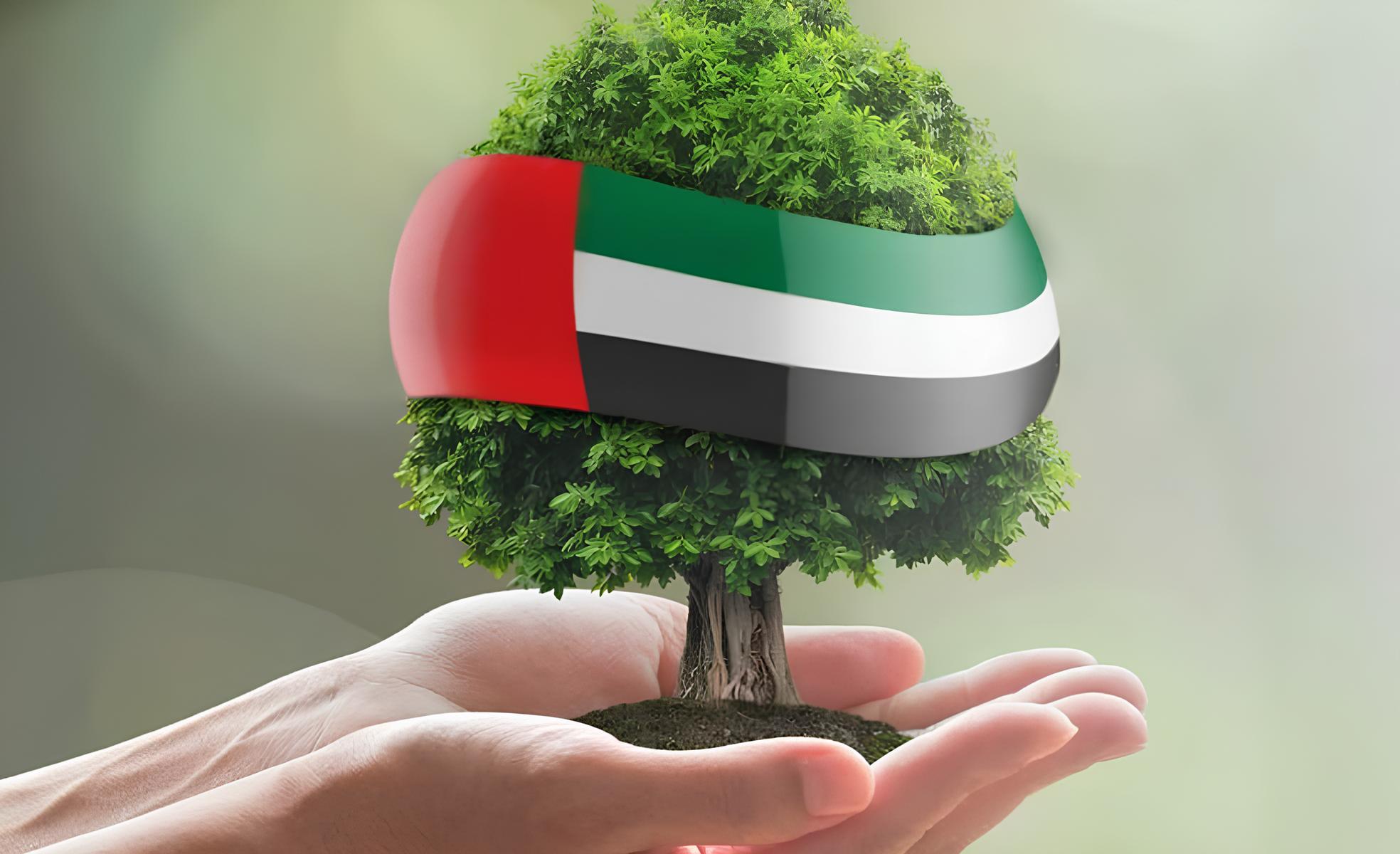 مساعدة مالية في الإمارات للوافدين من الديوان وطريقة التقديم عبر الإنترنت