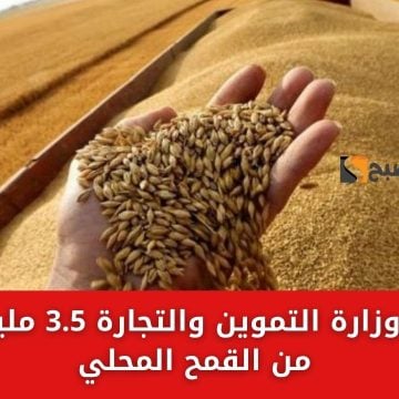 وزارة التموين والتجارة تُطمئن الجميع بتوافر القمح لاستلامها 3.5 مليون طن من القمح المحلي