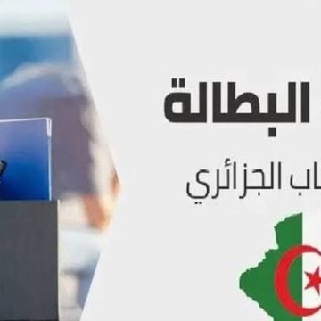 طريقة تجديد منحة البطالة كل 6 أشهر عبر الموقع الرسمي لوكالة التشغيل الوطنية الجزائرية