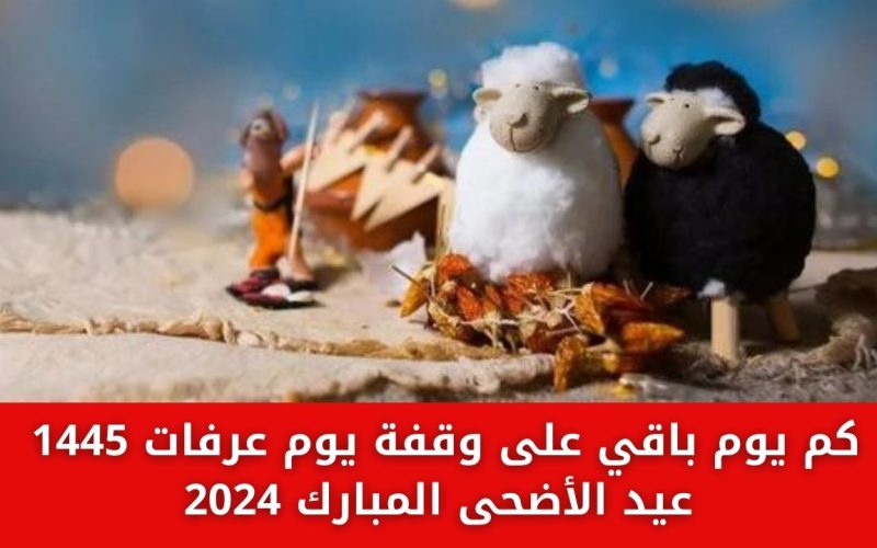كم يوم باقي على وقفة يوم عرفات 1445 ومتى عيد الأضحى المبارك 2024