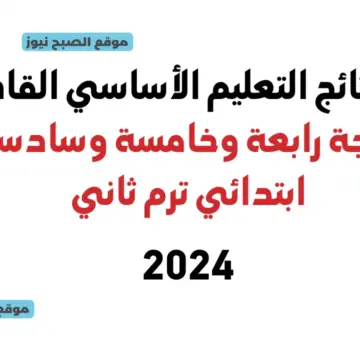 بوابة نتائج التعليم الأساسي القاهرة 2024 eduserv.cairo.gov.eg نتيجة المرحلة الابتدائية رابعة وخامسة وسادسة