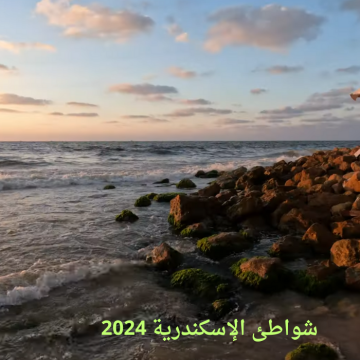 ما هو سعر تذكرة دخول شواطئ الاسكندرية 2024 للفرد والعائلة بعد مشروع التوسعة الجديد؟