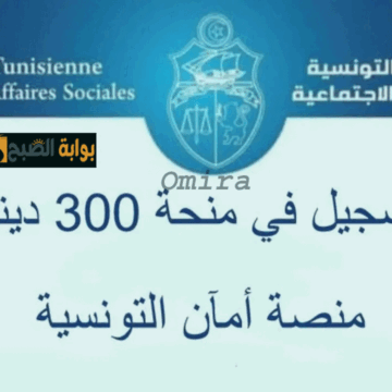 التسجيل في منحة 300 دينار تونس 2024|الشروط المطلوبة + خطوات التقديم عبر eservices.social.gov